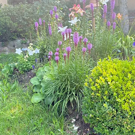 Na Kaszubach W Poblizu Kaszubskich Jezior O Niezwyklym Klimacie * Łyśniewo